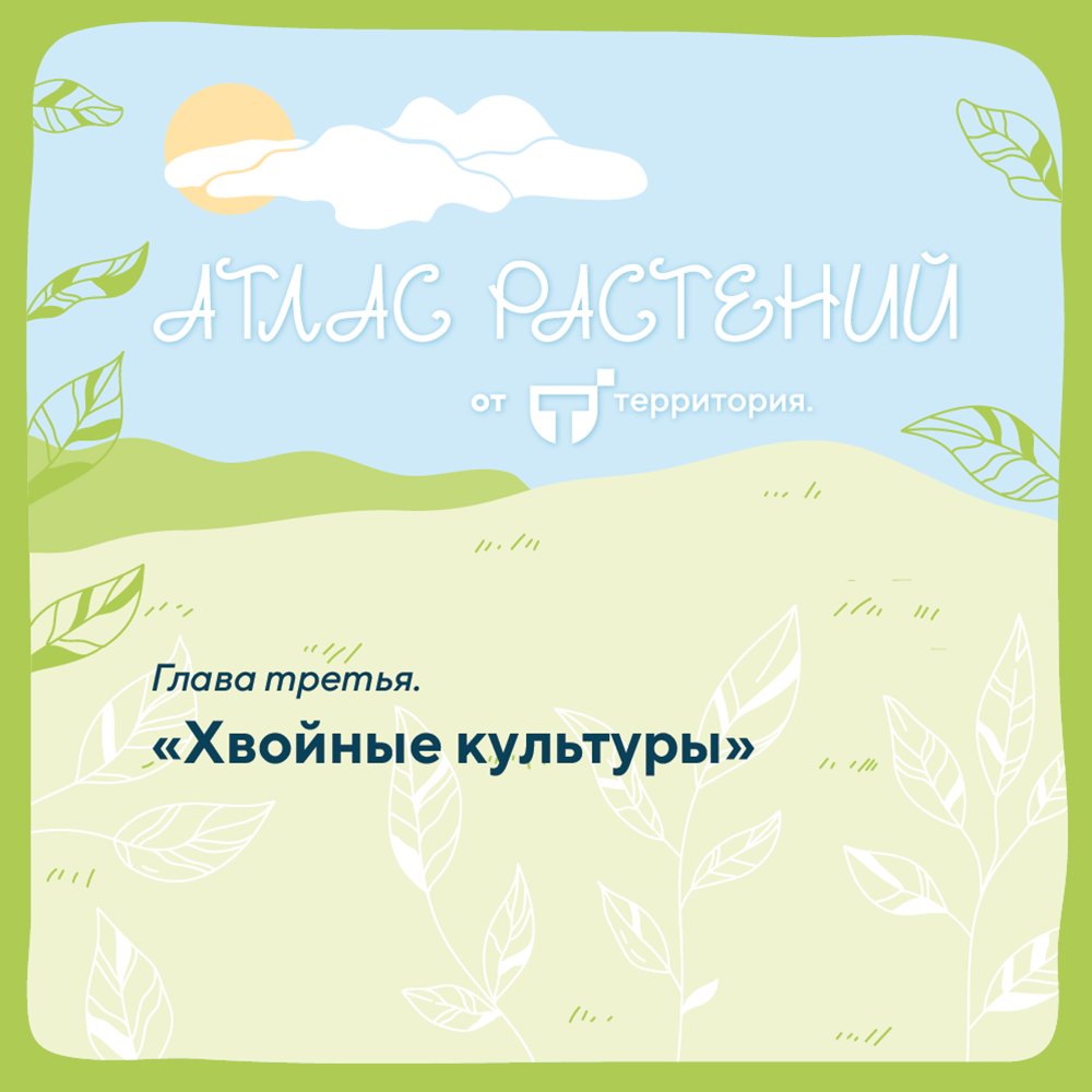 атлас растений 1_2 (1).png