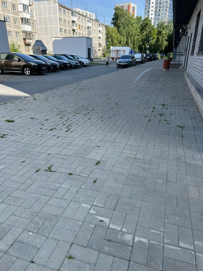 WhatsApp Image 2025-08-05 at 14.21.27.jpeg
